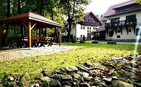 Apartamenty Wonder Home - Willa Karpacz przy stoku
